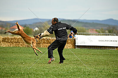 Arizona von den Heilstätten
