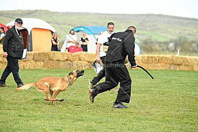 Arizona von den Heilstätten