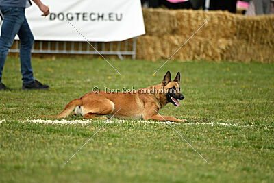 Arizona von den Heilstätten