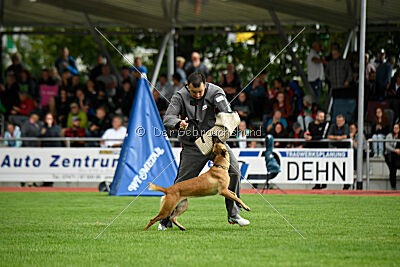 Arizona von den Heilstätten