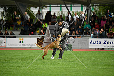 Arizona von den Heilstätten