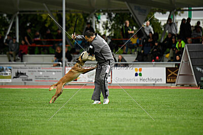 Arizona von den Heilstätten