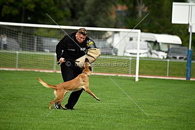 Arizona von den Heilstätten