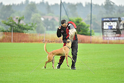 Arizona von den Heilstätten