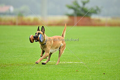 Arizona von den Heilstätten
