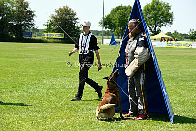 Arjen ex mera passio