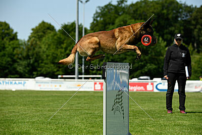 Arjen ex mera passio