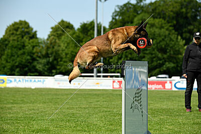 Arjen ex mera passio