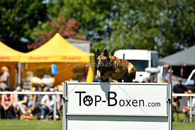 Arjen ex mera passio