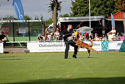 Arkan von der schwarzen Mamba