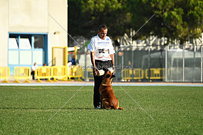 Arkan von der schwarzen Mamba