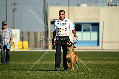 Arkan von der schwarzen Mamba
