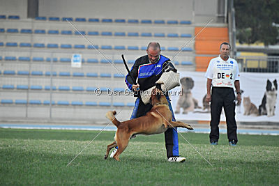 Arkan von der schwarzen Mamba