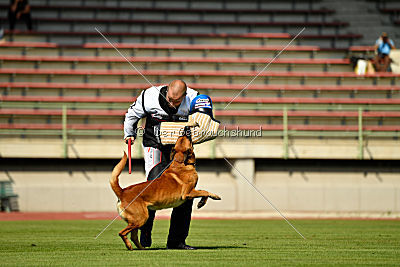 Arkan von der schwarzen Mamba