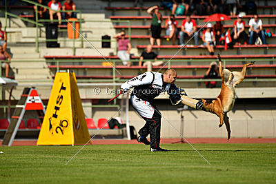 Arkan von der schwarzen Mamba