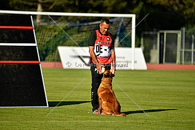 Arkan von der schwarzen Mamba