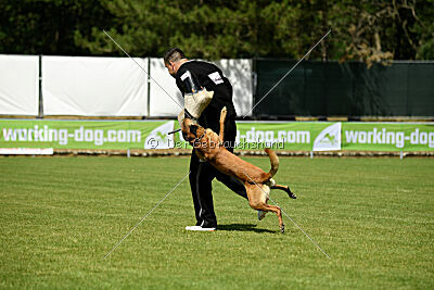 Armstrong Free to Fly