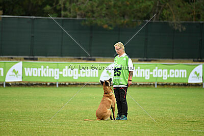 Armstrong Free to Fly