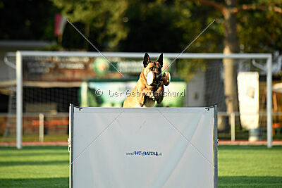 Armstrong Free to Fly