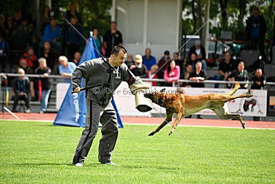 Armstrong Free to Fly