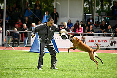 Armstrong Free to Fly