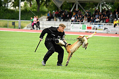 Armstrong Free to Fly