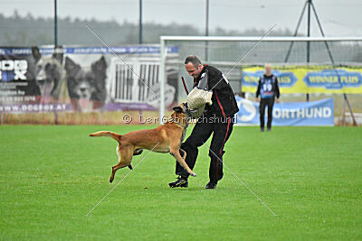 Armstrong Free to Fly