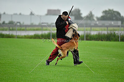 Armstrong Free to Fly