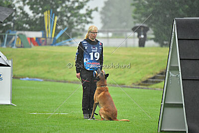 Armstrong Free to Fly