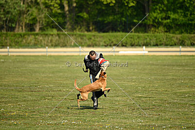 Armstrong Free to Fly