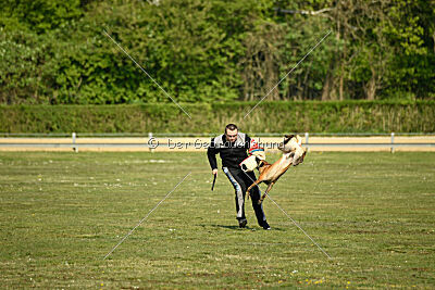 Armstrong Free to Fly