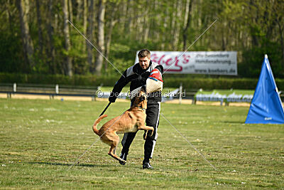 Armstrong Free to Fly