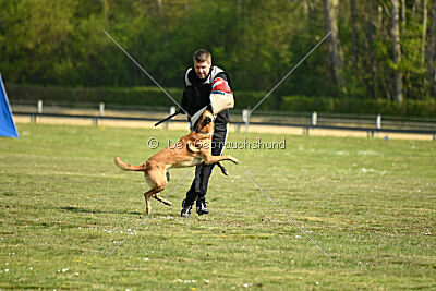 Armstrong Free to Fly