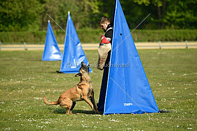 Armstrong Free to Fly