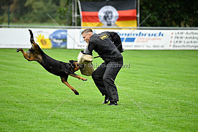 Arriva von der Teufelspratze