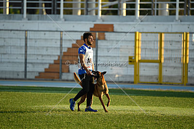 Artax von Anauj Haus