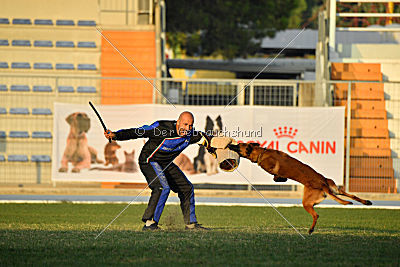 Artax von Anauj Haus