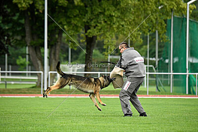 Arthur vom Tiefgestade
