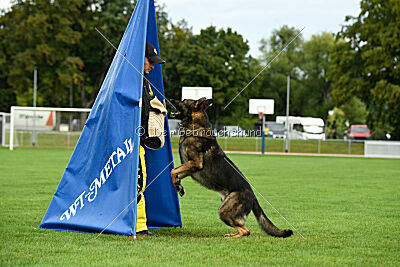Arthur vom Tiefgestade