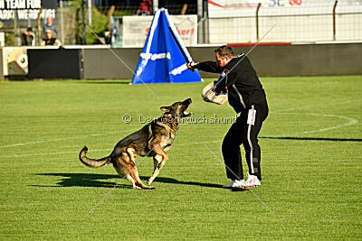 Arthur vom Tiefgestade