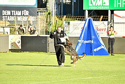 Arthur vom Tiefgestade