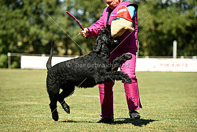 Arthur von der Schönburg