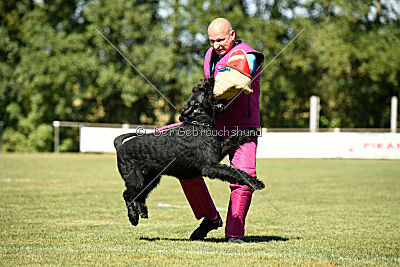 Arthur von der Schönburg