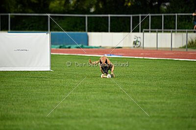 Arturo Banda Los Valientes