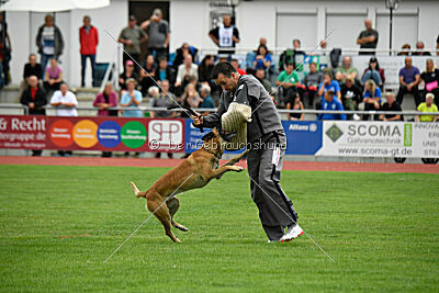 Arturo Banda Los Valientes