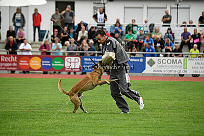 Arturo Banda Los Valientes