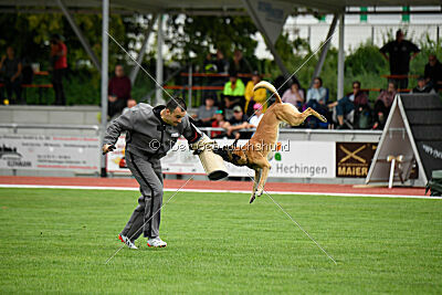 Arturo Banda Los Valientes