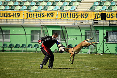 As'Thor Force Canina