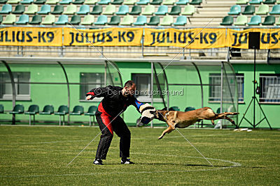 As'Thor Force Canina