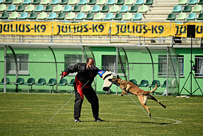 As'Thor Force Canina